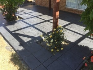 12278991_923244644389967_9084266024168892649_n