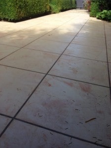 12717302_962412937139804_6686758541536305578_n