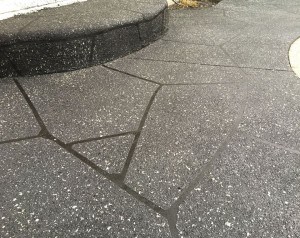 13133396_1005012256213205_3004540035632707541_n