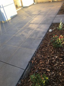 13419226_1027522350628862_1756739306117303751_n