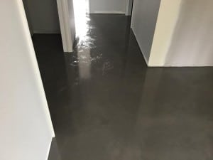 14937318_1133281620052934_6962201619011690919_n