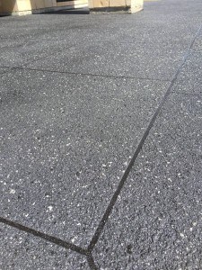 14947702_1133274210053675_2489868407790761568_n