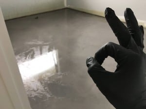 14956368_1133281763386253_8960754260431141418_n