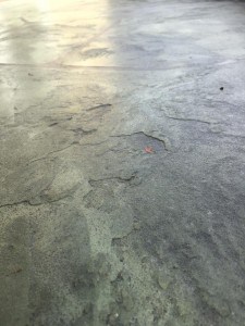 15541334_1180375895343506_2951694026269584151_n