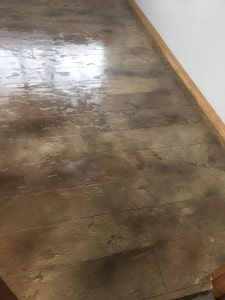 15589935_1180376018676827_9032760463469470998_n