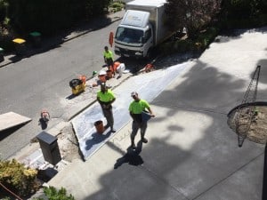 15590265_1180370655344030_3186346147047459089_n