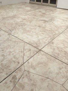 15965779_1203934392987656_9164924354104288927_n