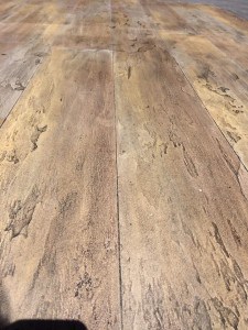 16266042_1213521195362309_4067873719703366033_n