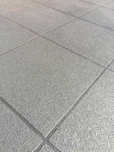 16865174_1246803678700727_524687812515099329_n